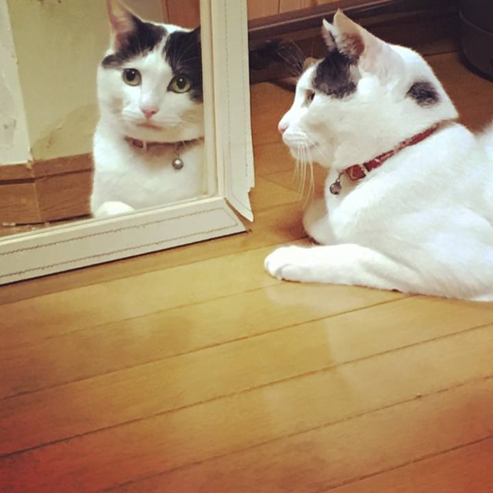 8ba0e200 7a2a 4a6c 81f2 289d424908b3