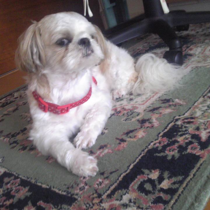 8ba18b0f 945d 4dbb b448 e2e4340580c2