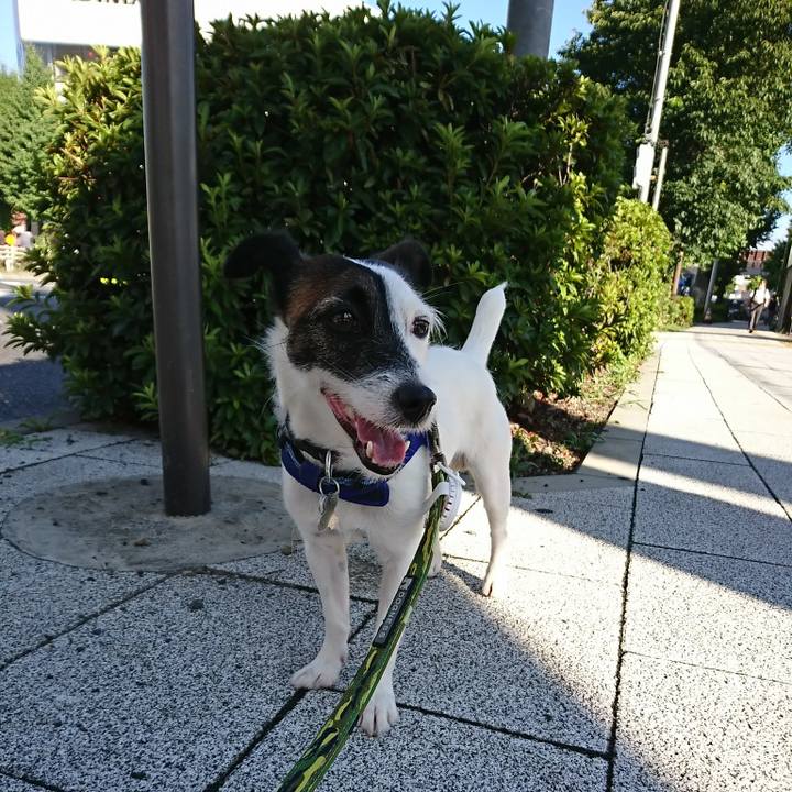 8ba1dc08 eaf0 49a9 9ad2 aad5333b1160