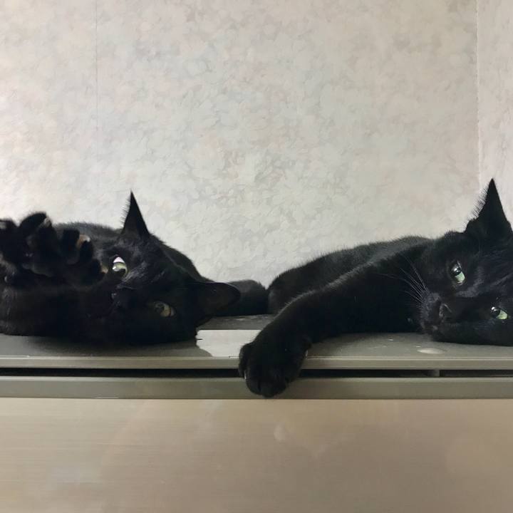 8ba22be3 759c 4481 aade 96eb742b4842