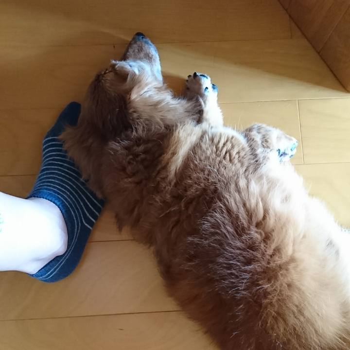 8ba32922 c333 42e1 81c9 9d10e0d1b7eb