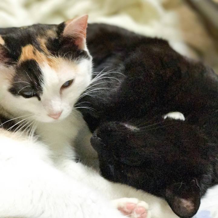 8ba3345b a746 4127 b31e b52d078cecf1