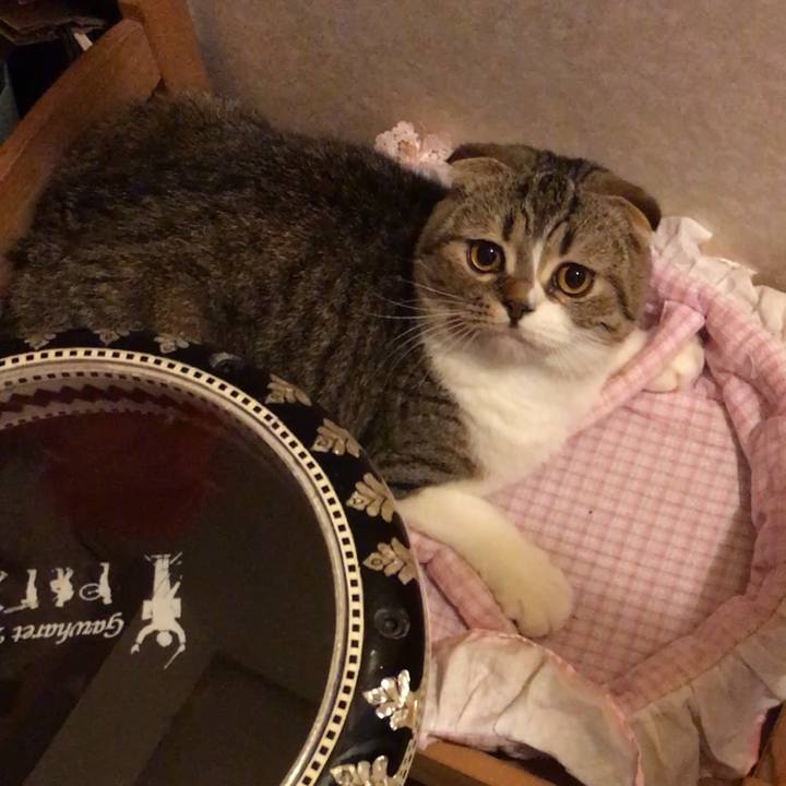 8ba36b0b 142a 43f0 a84d 25baad16ffe1