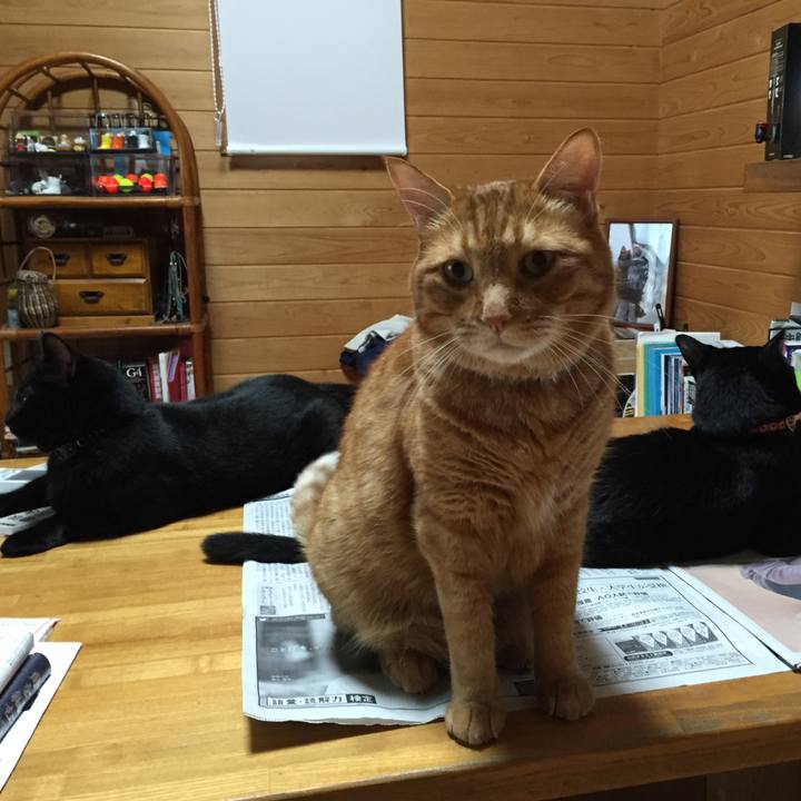 8ba3d999 e3c2 44bd 9130 e56c7b440578