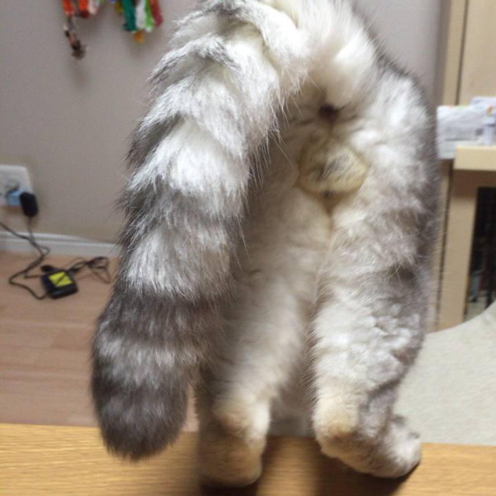 8ba444b0 6776 42b9 8a81 e66dc63fda5f