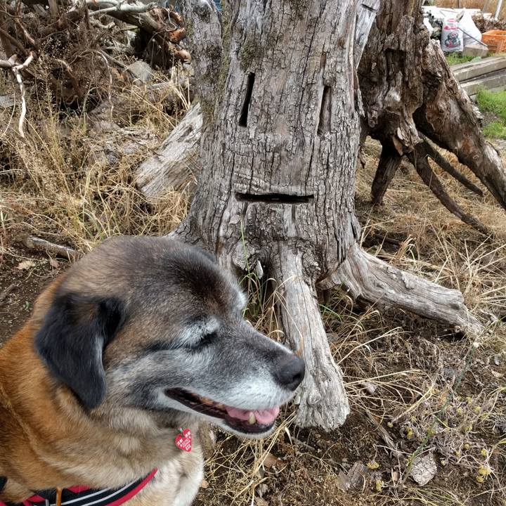 8ba4592e 77cf 40a7 a7ad eb3e17c58098