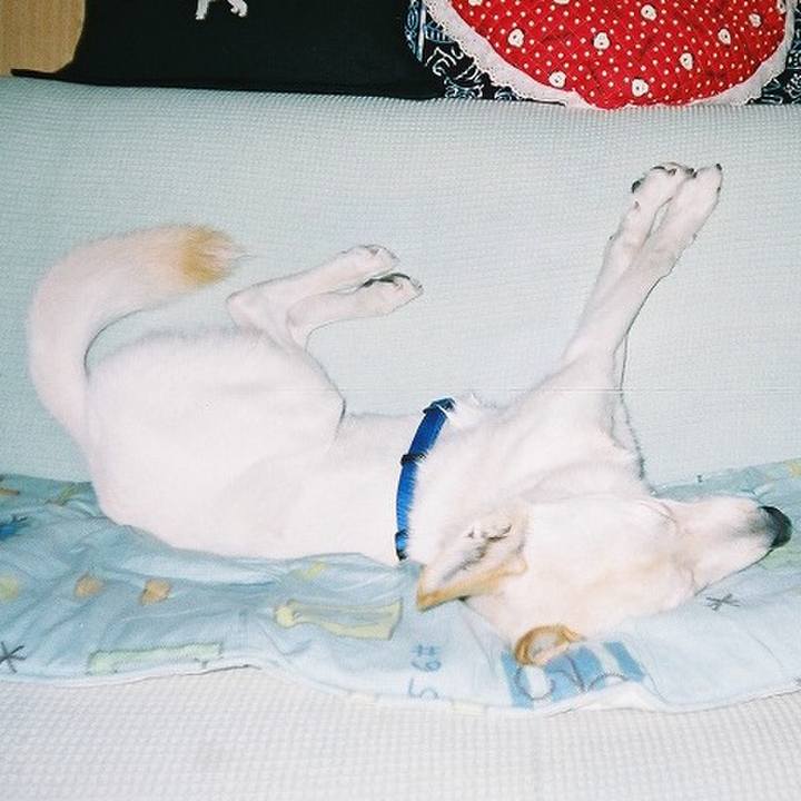 8ba4ea37 ec4f 4437 bc70 60f36fbe50cf