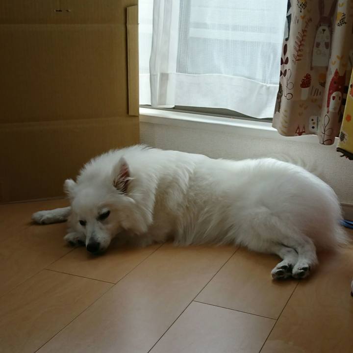 8ba5f218 f4c8 448d b7a0 230258904ce0