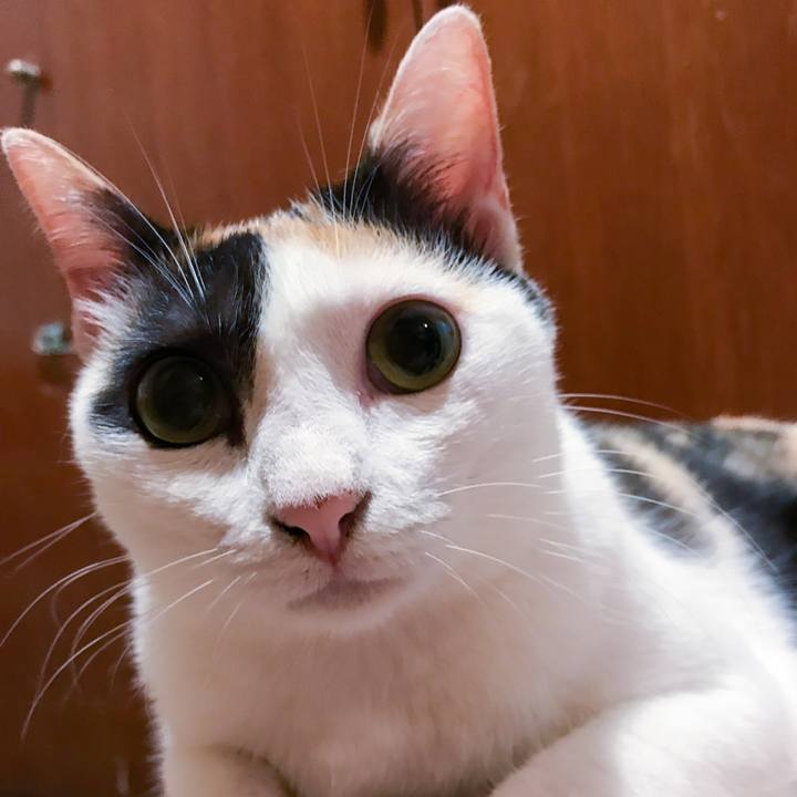 8ba657c8 5fe3 4e43 98e9 9d62aa987045