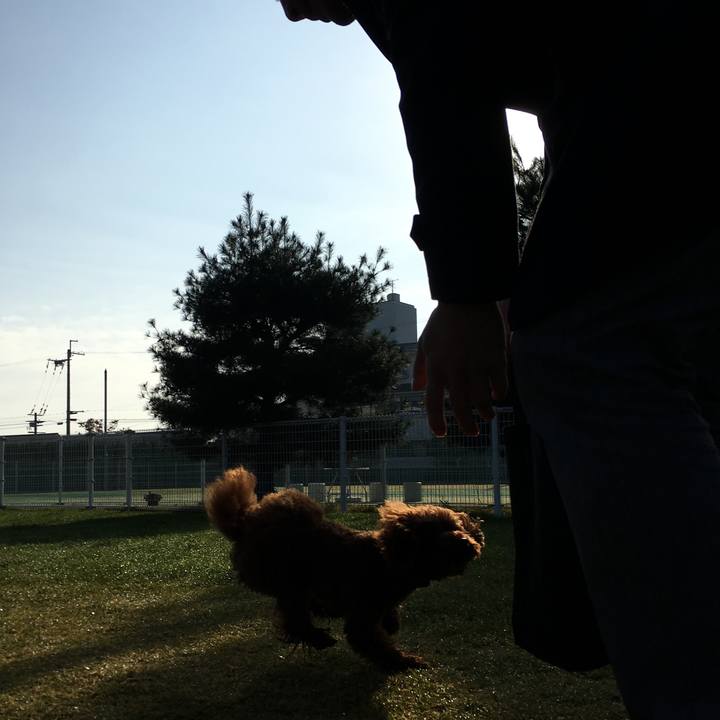 8ba668b8 21ea 4ef5 9fb5 77c0d8c39630