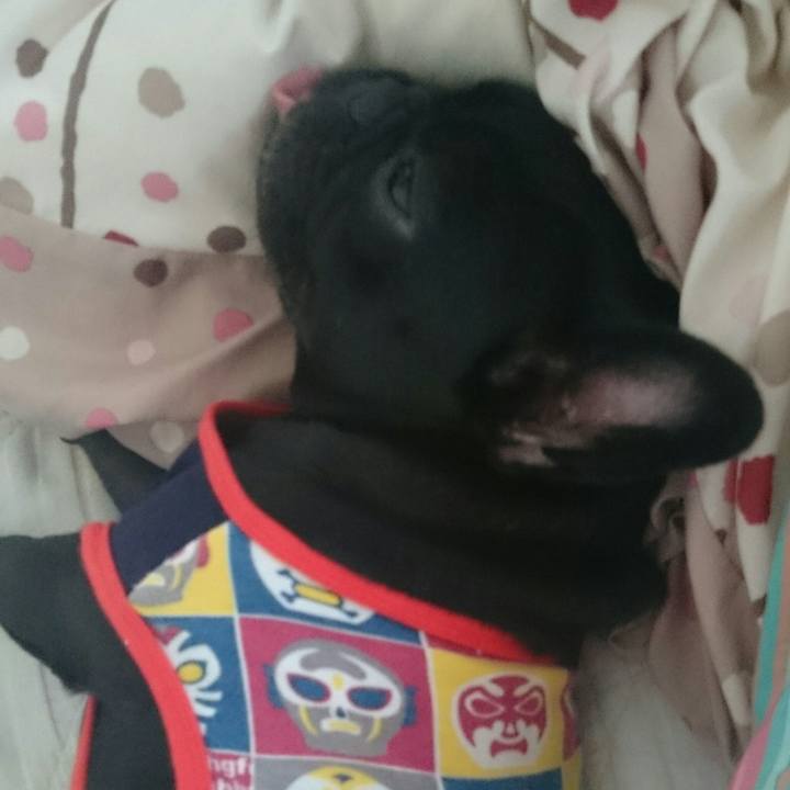 8ba6d29e 8e9a 455f 98d5 612204bdbcf6