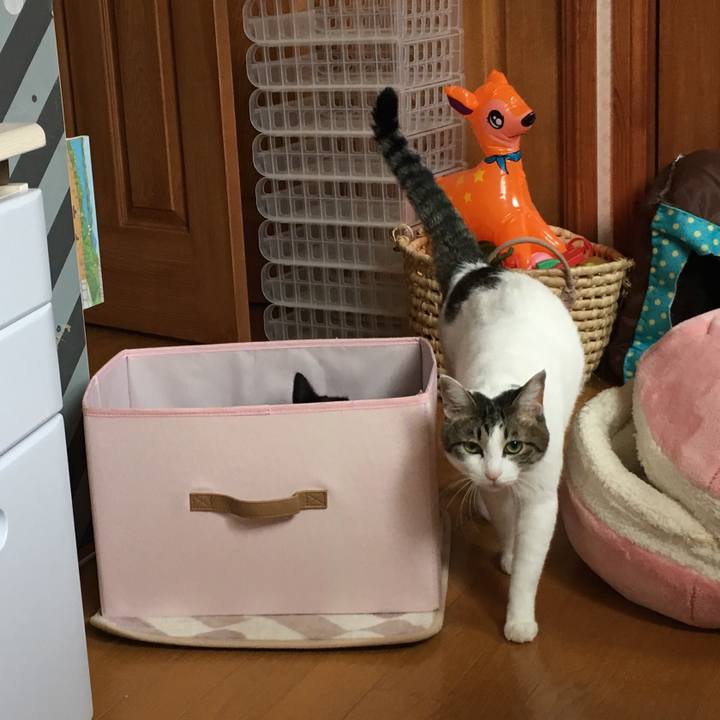 8ba6d370 b46b 41d1 80bb de227332e33b