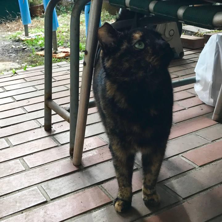 8ba6eaa5 b0dd 49ba 9c08 4659416774ea