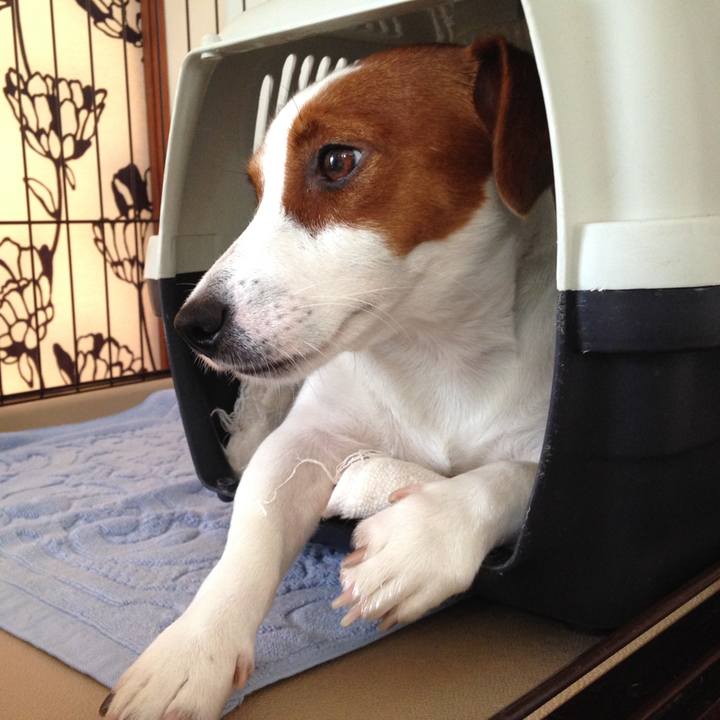 8ba79cf0 bfe2 4fe6 be8d 284127b71a20