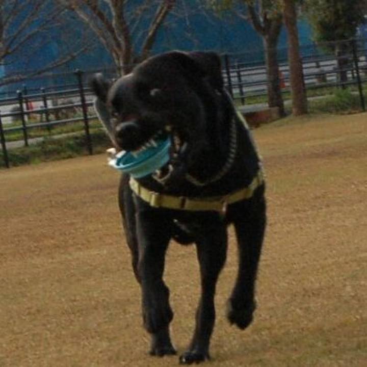 8ba7a124 83ff 4fc8 910f b73ecfca2e58