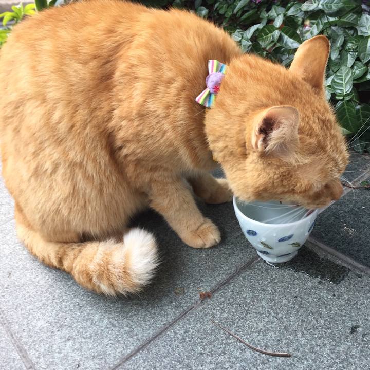 8ba7f94b 6c5f 4ada 89b9 6d8b278cd62a