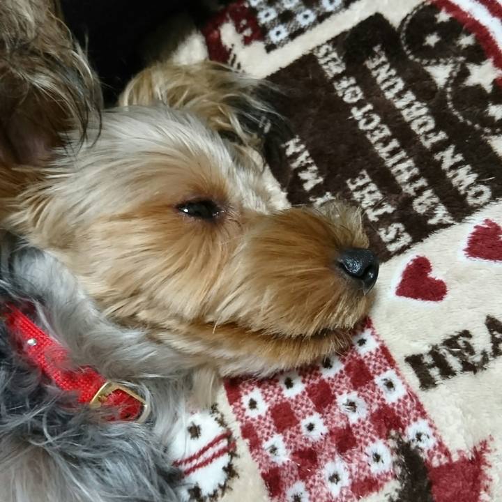 8ba8410a 9b7b 423a 9f21 037295b359f0