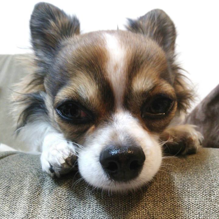 8ba8965b 1c75 4108 b8a9 132dd2d0497a