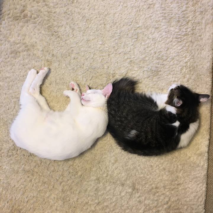 8ba92263 09a7 46ee 9133 3d26ea19e373