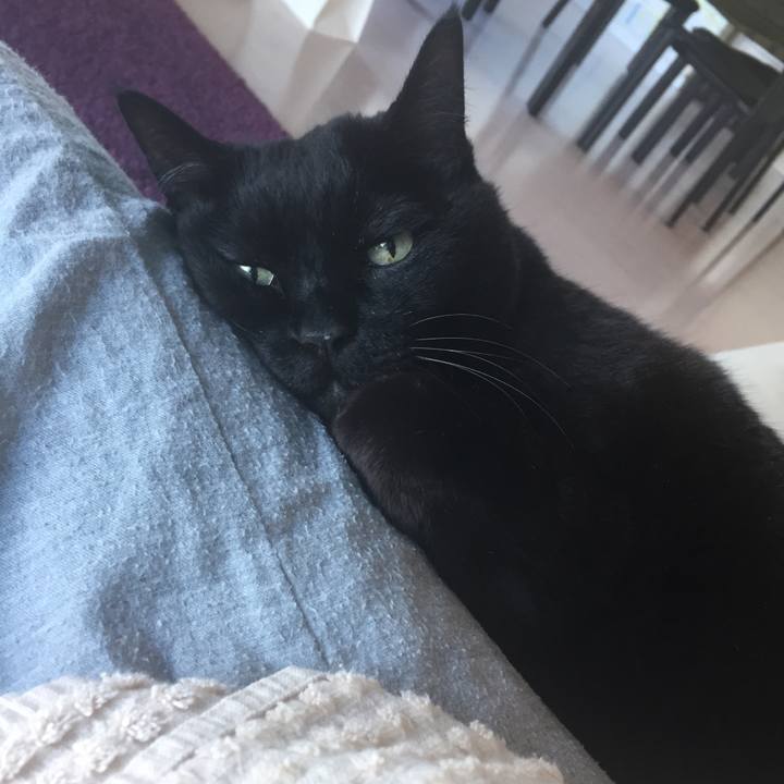 8ba96200 a4be 4155 9fe4 07b80b1f1bb9