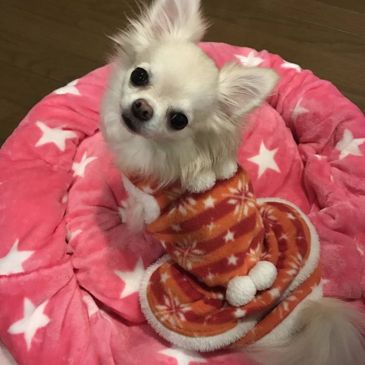 8ba9c663 a79d 4fcb 9af6 aa23dec4f59c