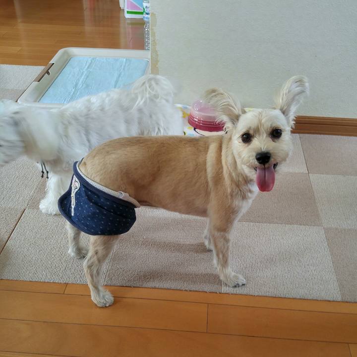 8ba9f52f a161 4f36 81dc e06daccddf75