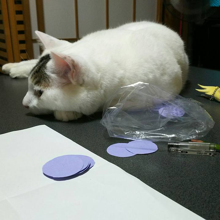 8baa6cd8 8bb3 4ac6 a79e 3a2d3b3d5352