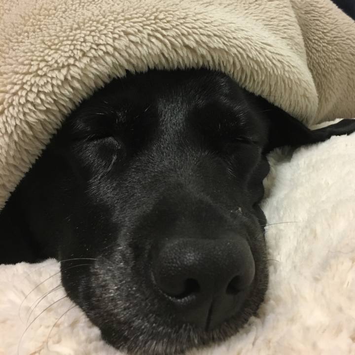 8baa960e 0475 4d05 a1b4 43759d2b1172