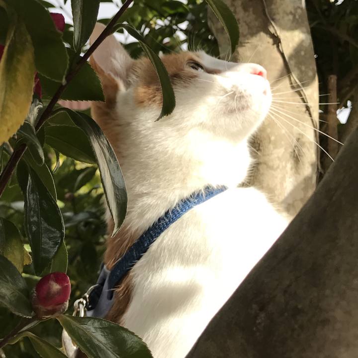 8baab6b7 0799 40a6 939f 307b00b78a74