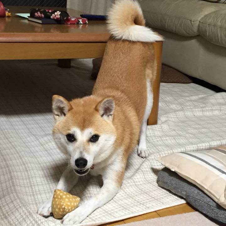 8bab7b36 832f 41e5 b7f4 7d3760af8e50