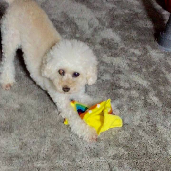 8bace673 9209 42c2 8d58 866a2b5bfe2a