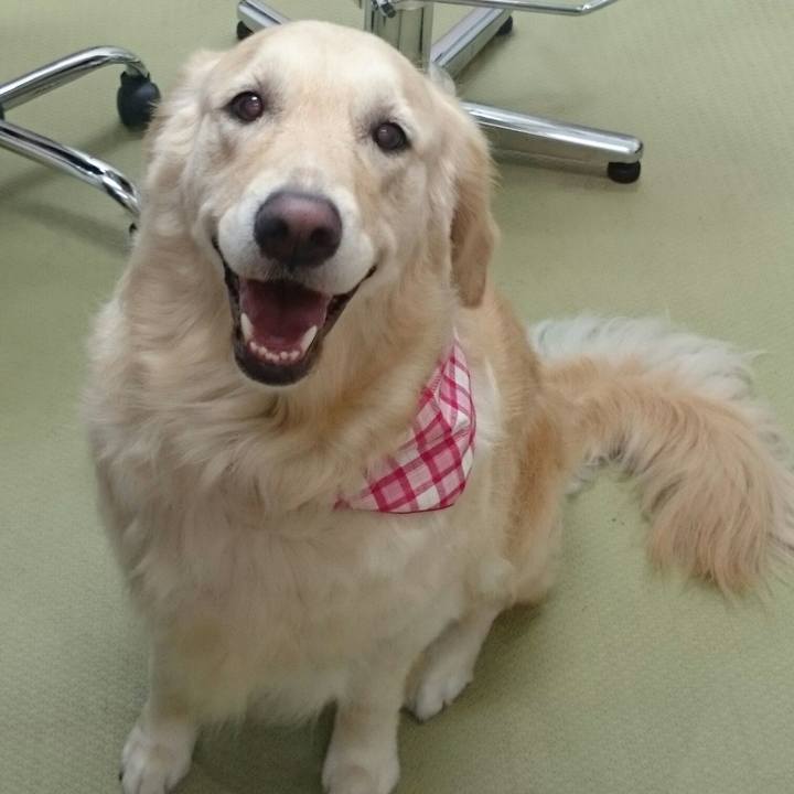 8bad432c 501c 4d57 84b6 6ea735ced29e