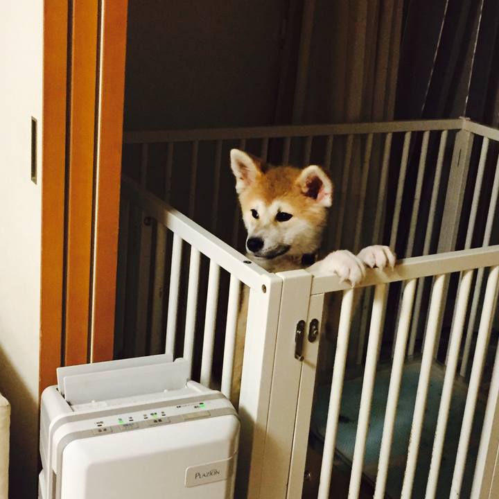 8bad4335 da14 4bb0 810a f0823679afd1