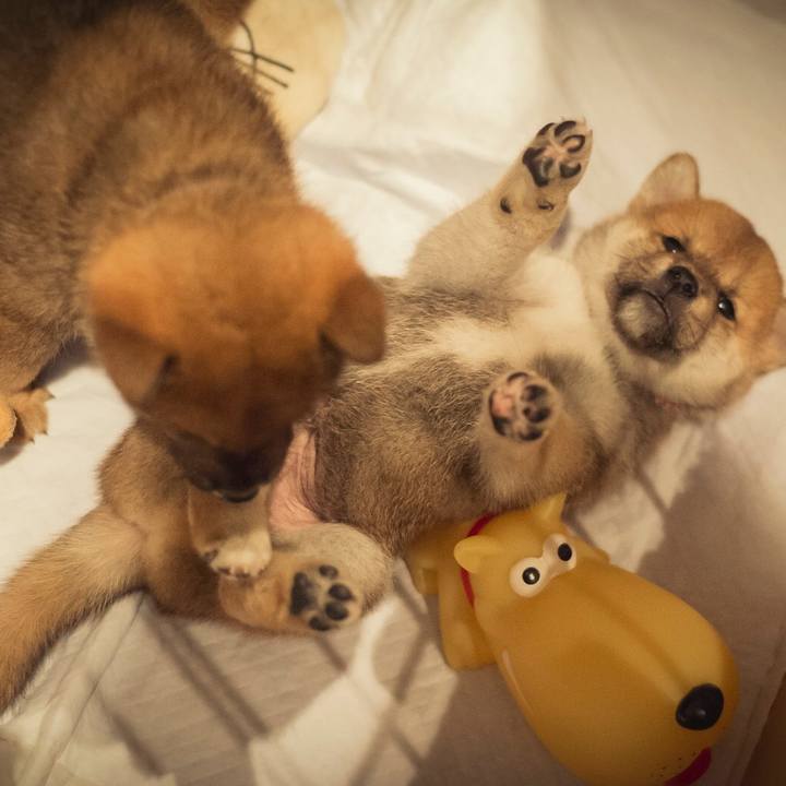 8bad57ee fdb9 40c9 981f 295aea9b47c4