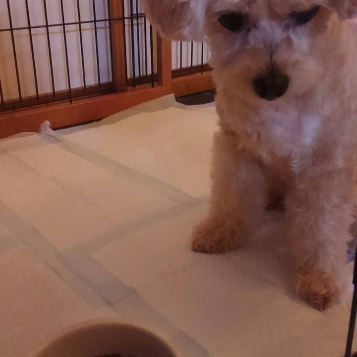 8bad7810 76ec 4673 ba5a e3f33eec77d8