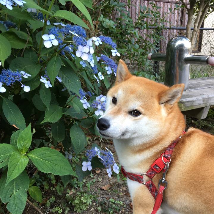 8bade3f0 94a0 4239 8c37 beb5de2fb202