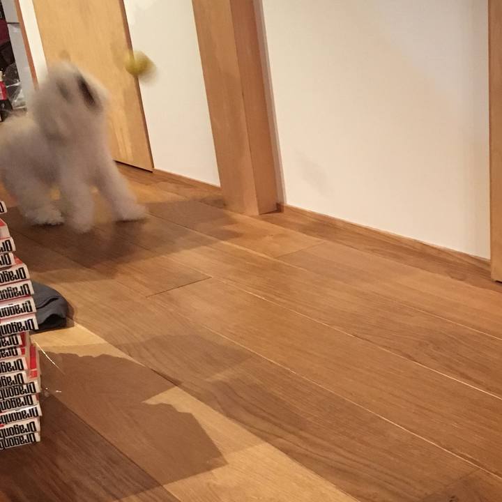 8bae5c60 2a66 4c99 81b9 d425d40842df