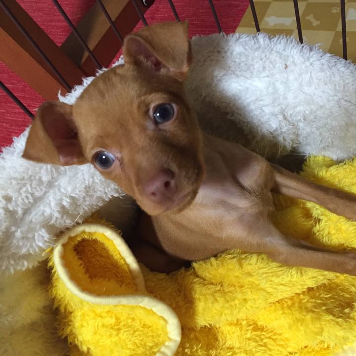 8baf33bb 9032 4824 a292 aad222c6222d