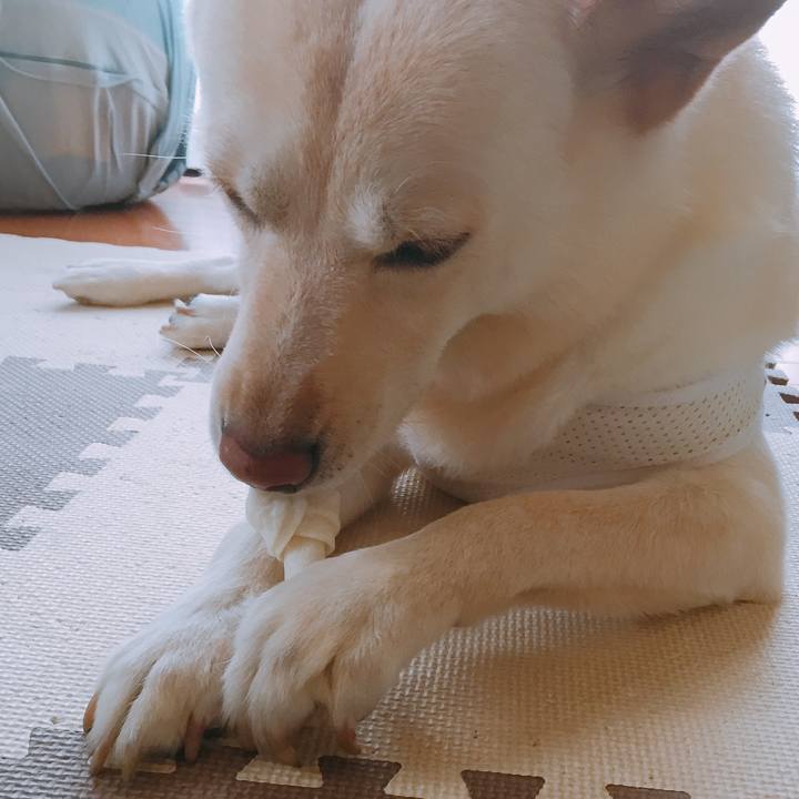 8bb06092 e31d 4148 bb46 1c3df026351c