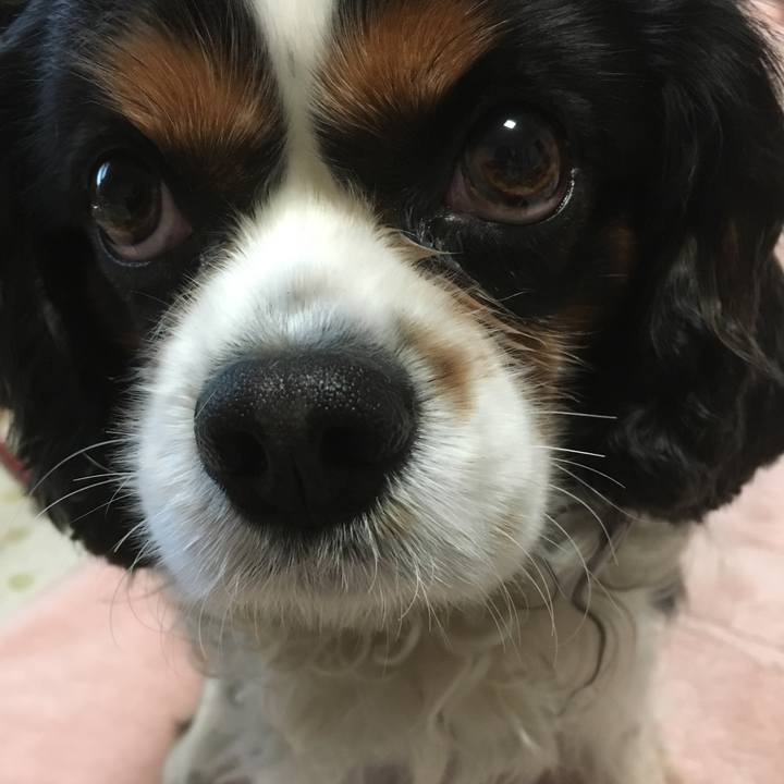 8bb085a6 19ab 4096 b00e f0e699ffcea2