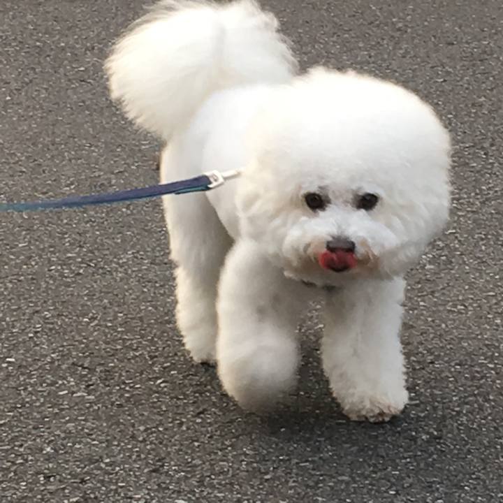 8bb0c34f 9dd5 4409 a599 4fd73c623c0a