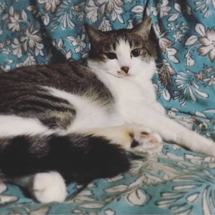 8bb16d91 0b6f 4345 82ce 4c52d4239198