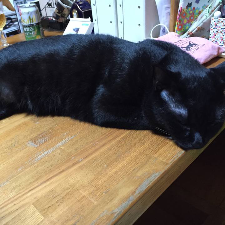 8bb1b776 f06f 4d7b a875 6b93fbf914fb