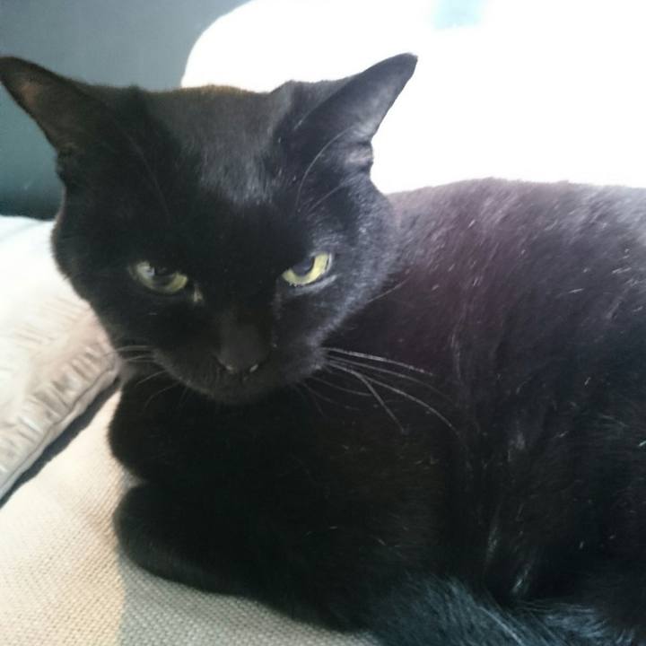 8bb1f9bb 64c8 41ce a4b6 1ecf62dea1bb