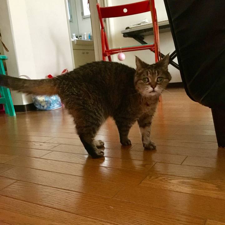 8bb26980 d842 442e 9fb4 2ec7bd71a6e8