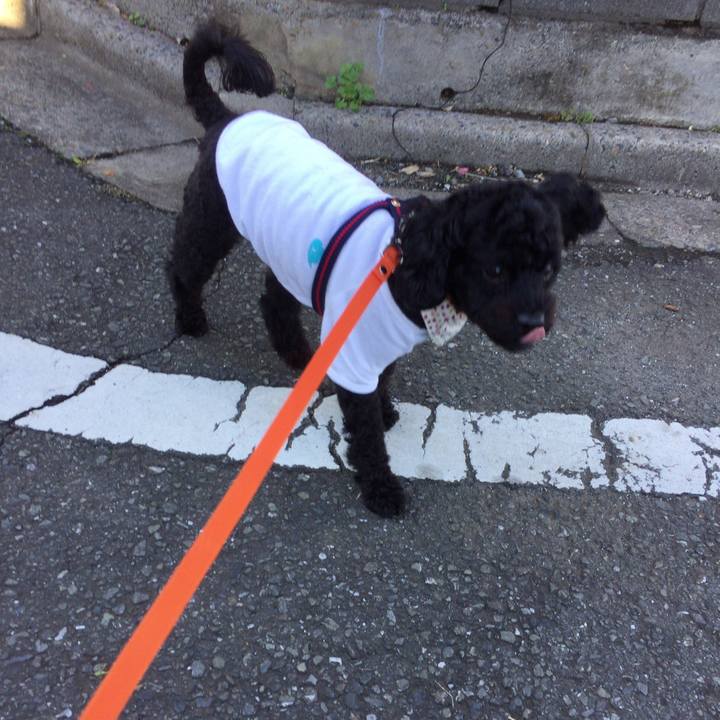 8bb26dd8 2b07 44d7 a39d 555fd5606204