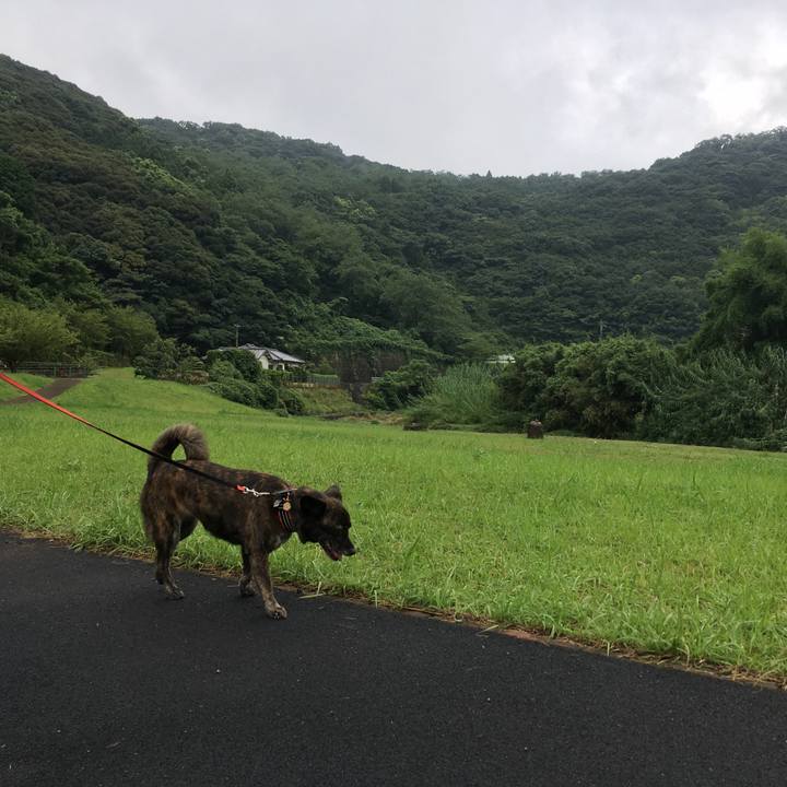 8bb2c3b5 df7b 4c59 ab70 8ebd7e794b88