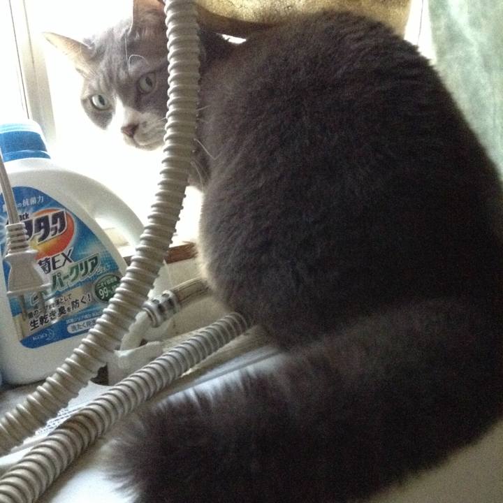 8bb2e074 5610 4e67 b06a 6d2bf3c0e8af