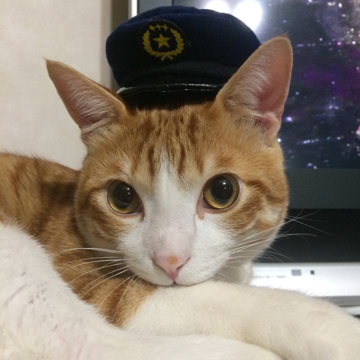 8bb333c0 1559 4e21 a5fd f70e086b4d8e