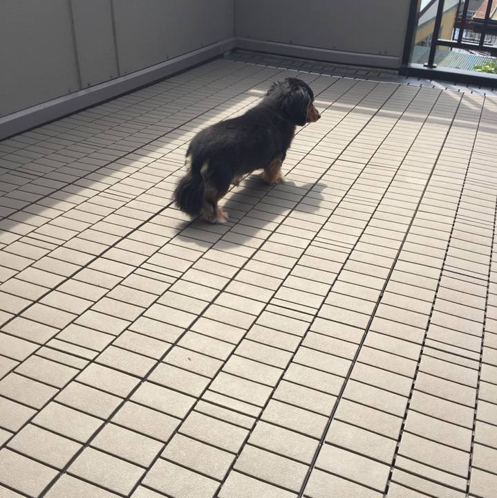 8bb38ffd 8945 48ec a076 9bd7a9716a7e